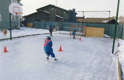 Outdoor hockey rink with hockey net and basketball hoop. 