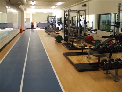 Multipurpose workout room with wooden flooring and blue accent flooring with multiple workout equipment. 